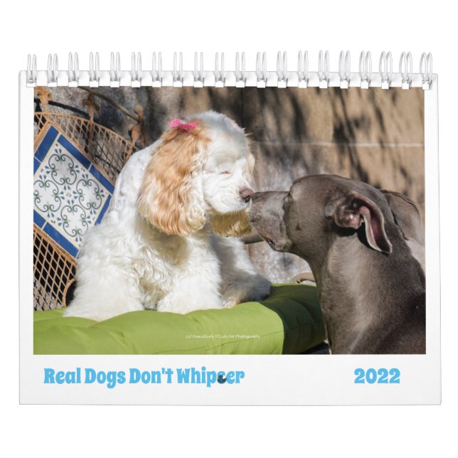 Calendário De Cães 2022 Brilhará Seus Dias Com Cut (Capa)
