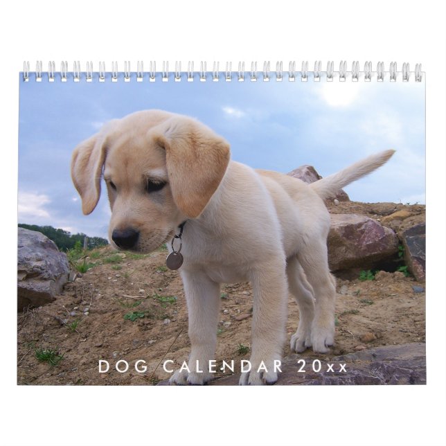Calendário De Cães 2024 Com Suas Fotos (Capa)