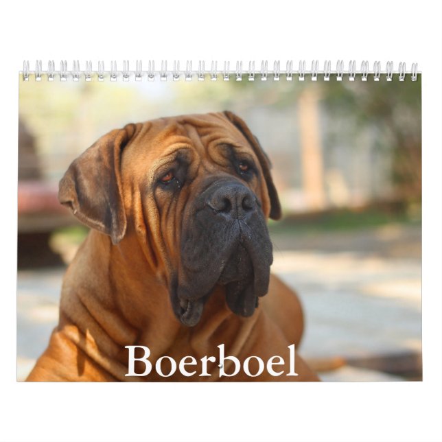 Calendário de Cães Boerboel (Capa)