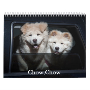 Calendário de Cães de Chow