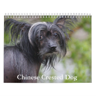 Calendário de Cães Detidos Chineses