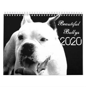 Calendário de Cães dos Bons Bullys 2020