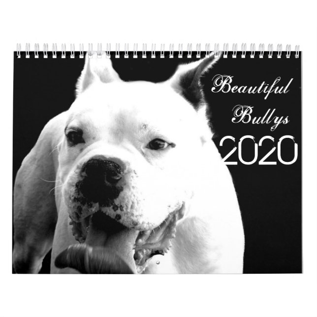 Calendário de Cães dos Bons Bullys 2020 (Capa)