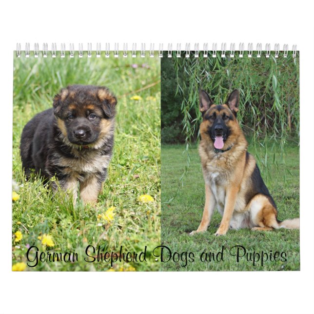 Calendário de Cães e Cães de german shepherd (Capa)
