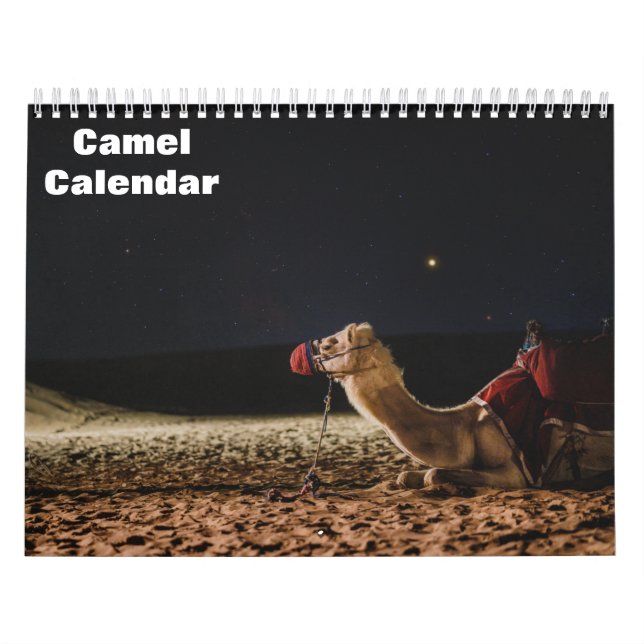 Calendário de Camelos (Capa)