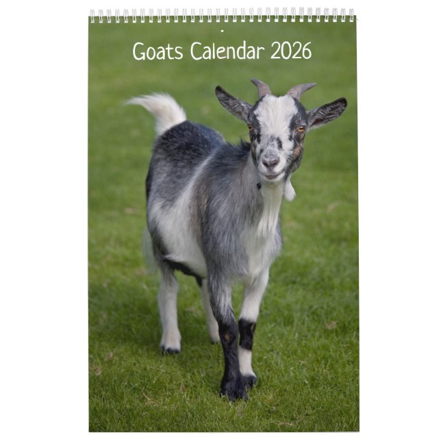Calendário de Capturas (Capa)
