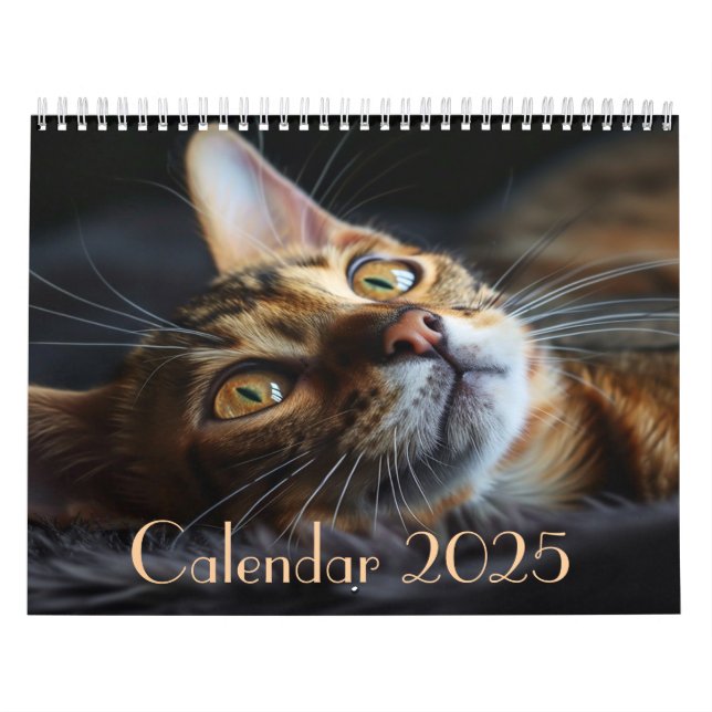 Calendário de Cat 2025 Personalizável com Notas (Capa)