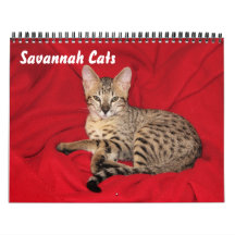 Calendário de Cat do Serval Savannah