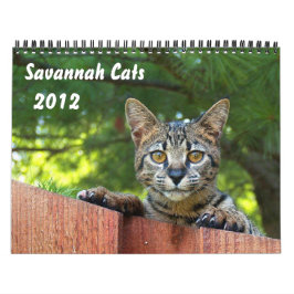 Calendário de Cat do Serval Savannah