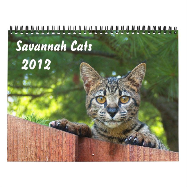 Calendário de Cat do Serval Savannah (Capa)