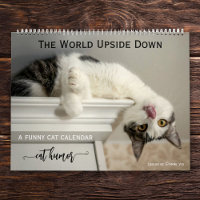 Calendário de Cat Engraçado Personalizado