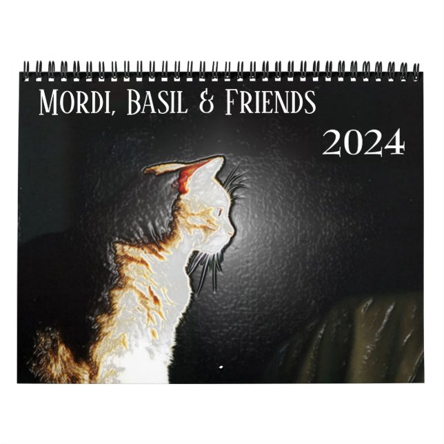 Calendário de Cat Mordi, Basil e Amigos 2024 (Capa)
