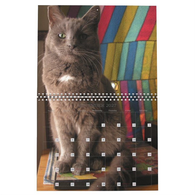 Calendário de Cat Mordi, Basil e Amigos 2025 (Dez 2027)