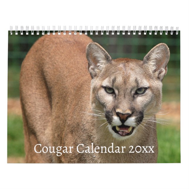 Calendário de Cat Selvagem de Cougar (Capa)
