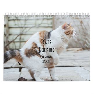 Calendário de Cats de Pooping 2026