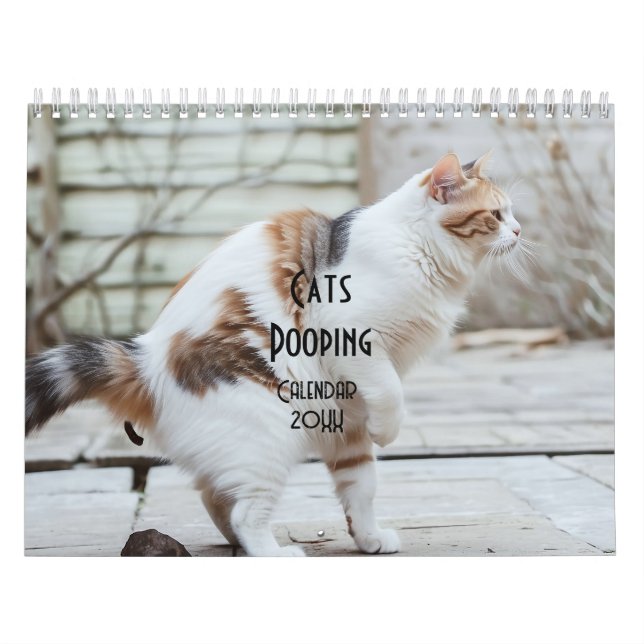 Calendário de Cats de Pooping 2026 (Capa)