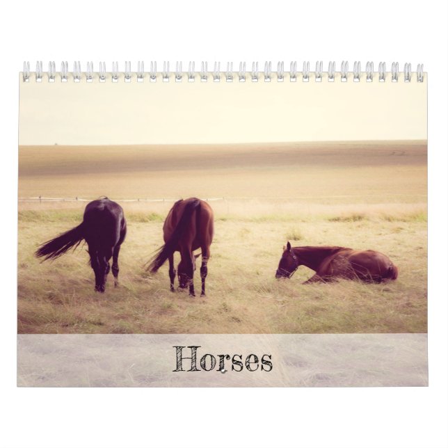 Calendário de Cavalos (Capa)