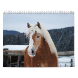Calendário de Cavalos
