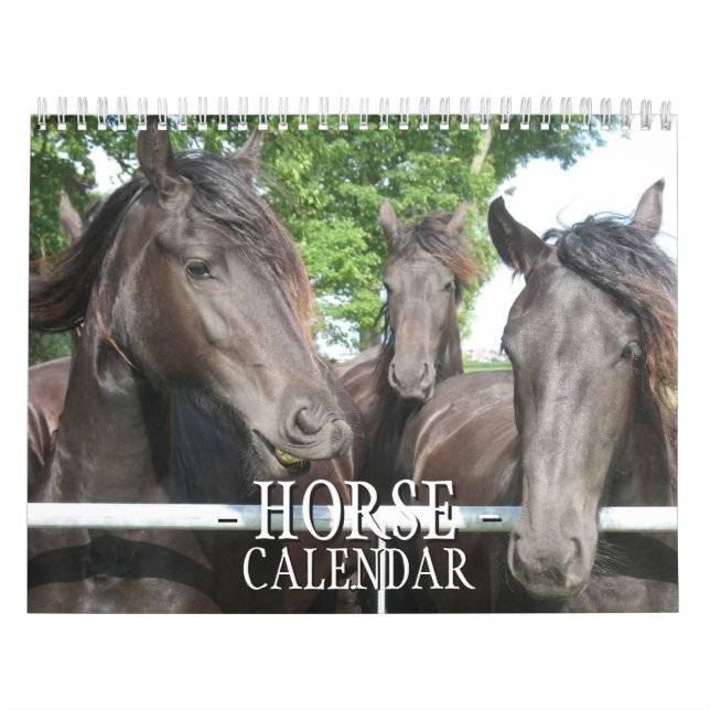 Calendário de Cavalos (Capa)