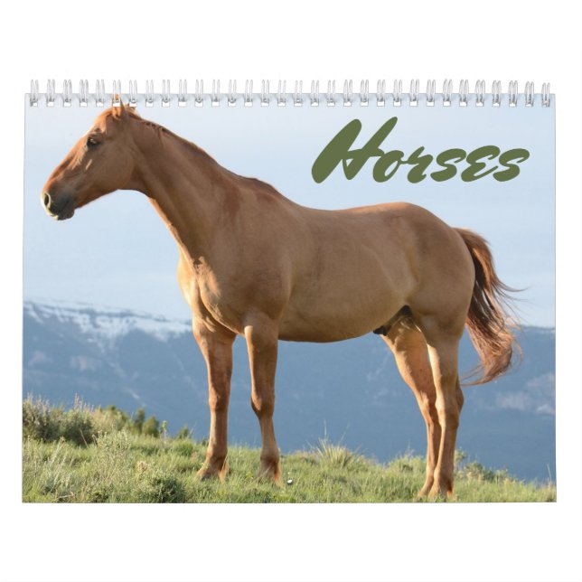 Calendário de Cavalos (Capa)
