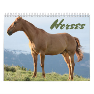 Calendário de Cavalos