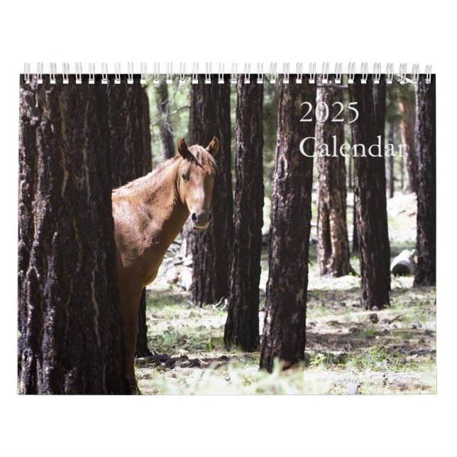 Calendário De Cavalos Selvagens De 2025 Para Apoia (Capa)