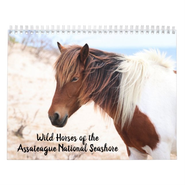 Calendário de Cavalos Selvagens de Assateague (Capa)