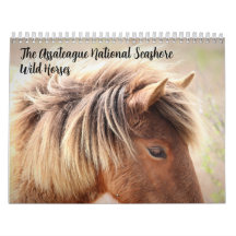 Calendário de Cavalos Selvagens de Assateague