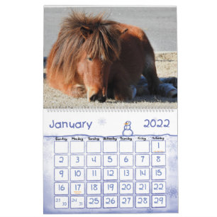 Calendário de Cavalos Selvagens, Ilha de Assateag