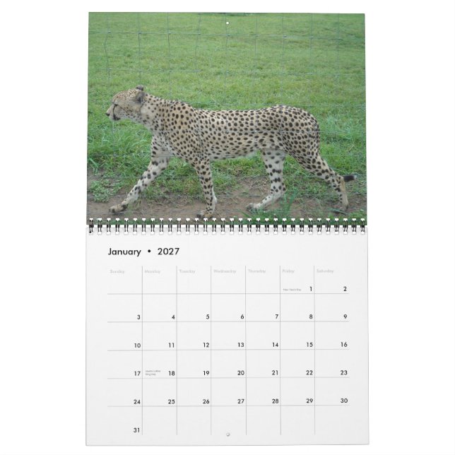 Calendário de Chita 2014 (Jan 2027)