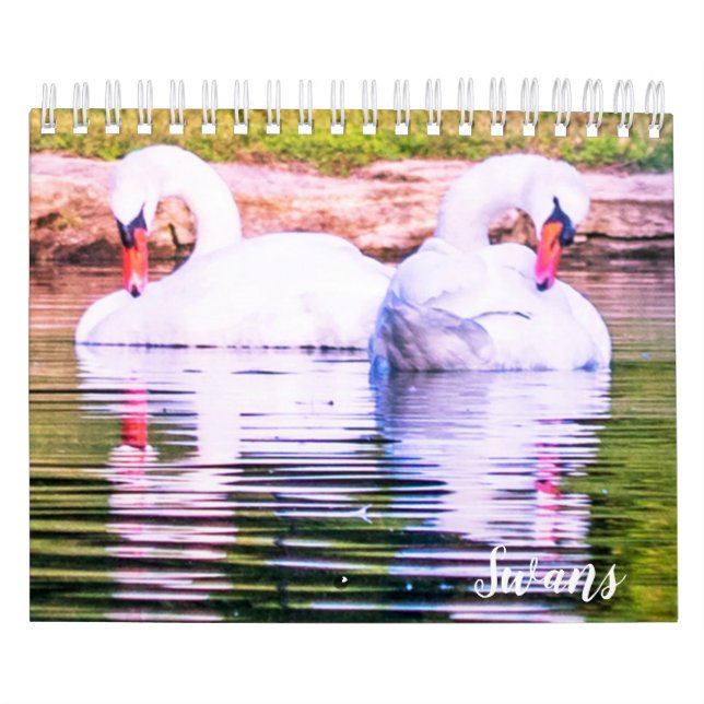 Calendário de Cisnes (Capa)