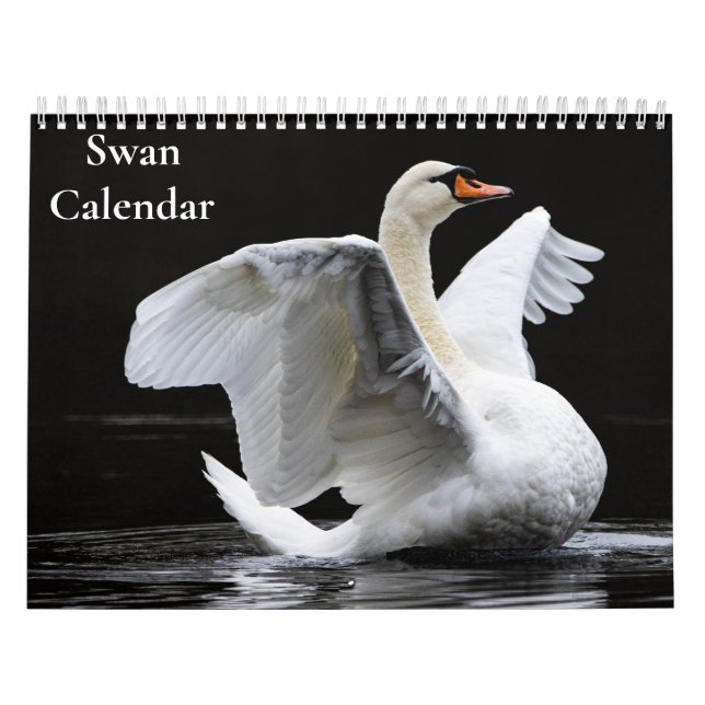 Calendário de Cisnes 2027 (Capa)