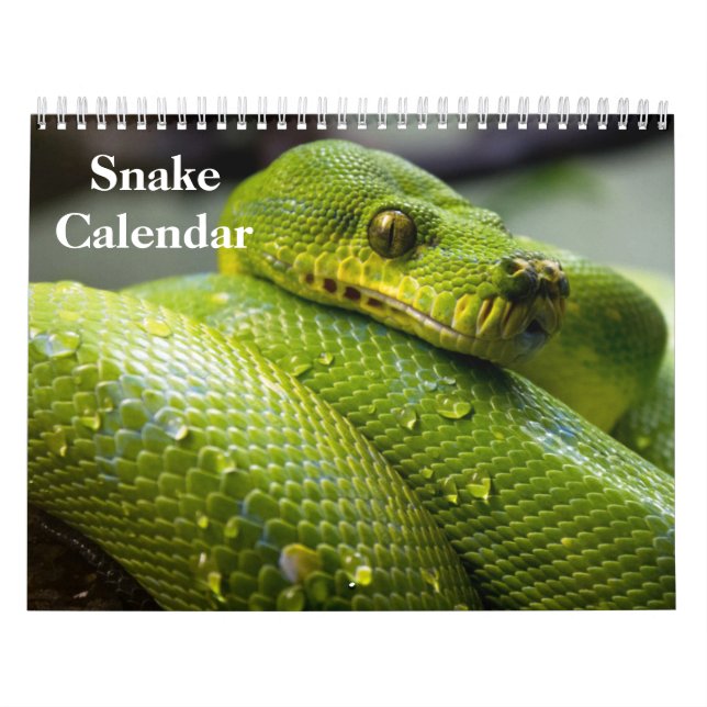 Calendário de Cobras 2027 (Capa)