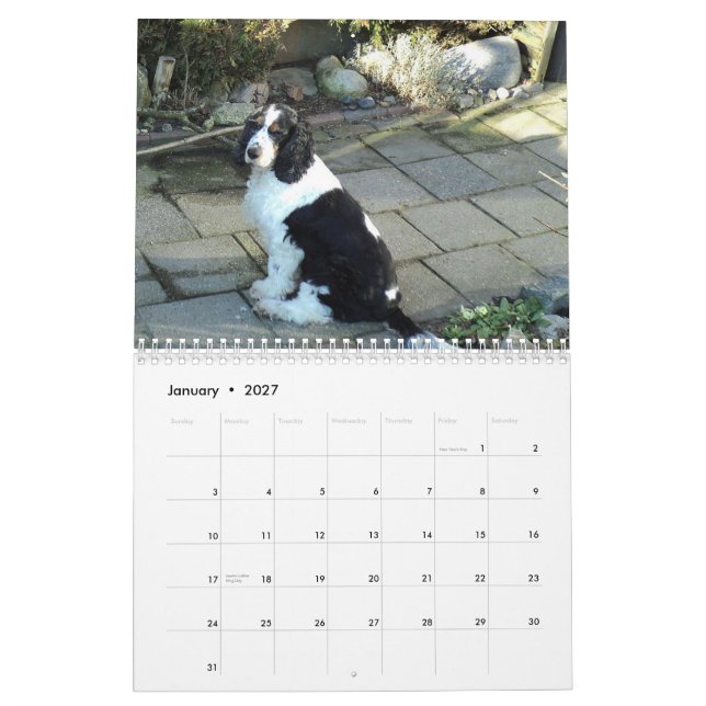 calendário de cocker spaniel do inglês (Jan 2027)