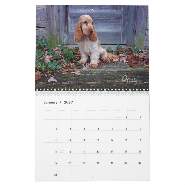 Calendário de cocker spaniel do inglês do Y-Nó (Jan 2027)