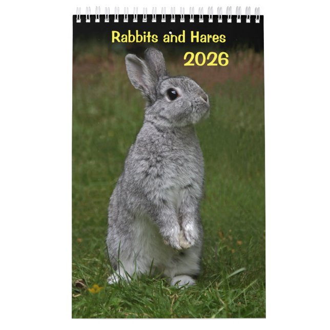 Calendário de Coelhos e Hares (Capa)