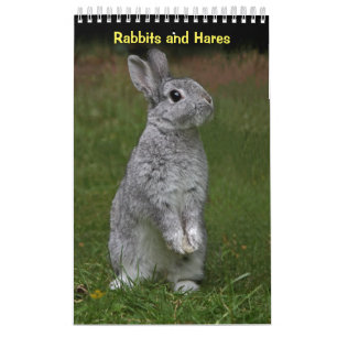 Calendário de Coelhos e Lebres