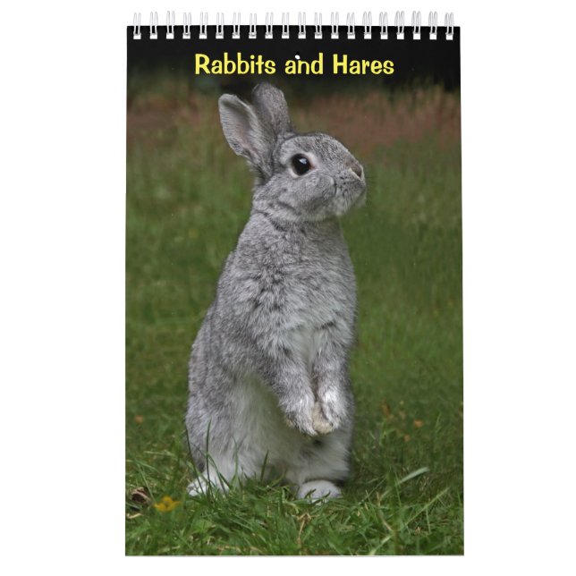 Calendário de Coelhos e Lebres (Capa)