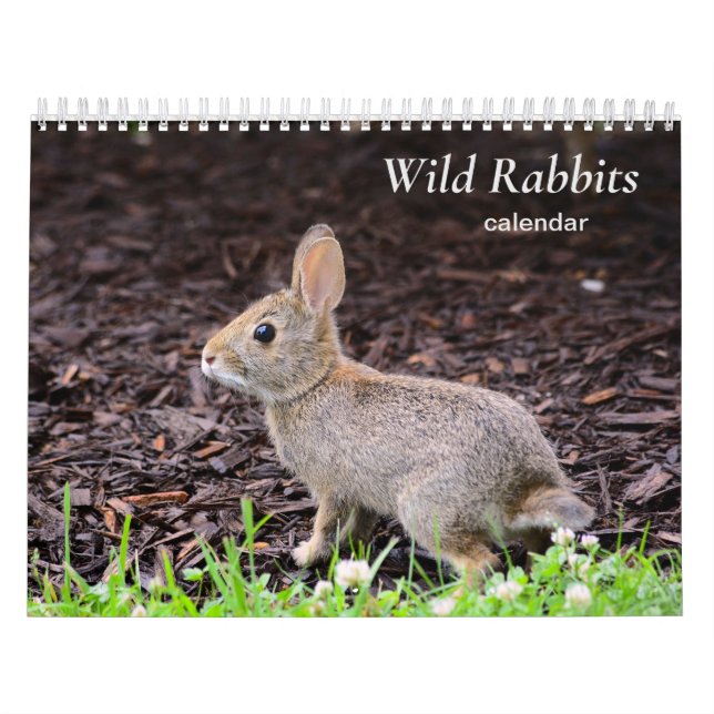 Calendário de Coelhos Selvagens (Capa)