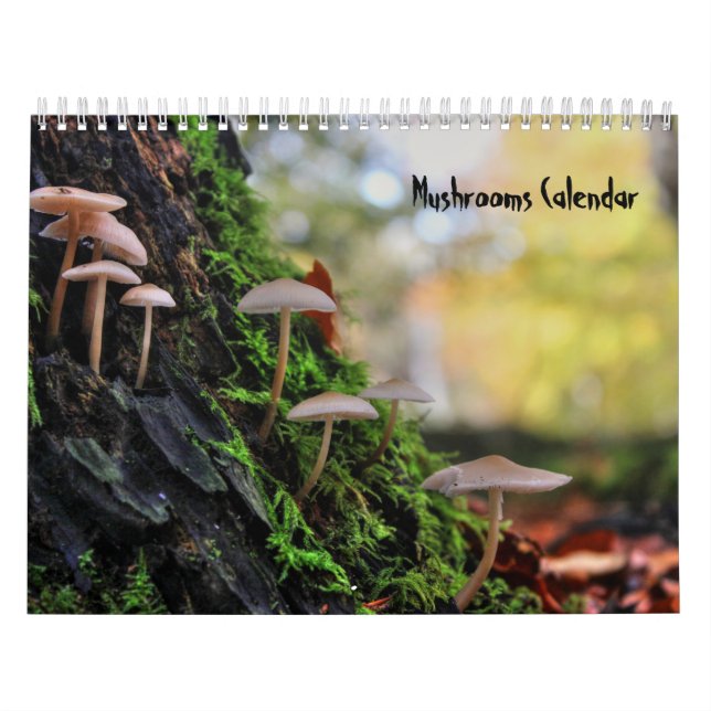 Calendário de Cogumelos (Capa)
