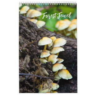Calendário de Cogumelos da Floresta