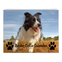 Calendário de Collie de Borda Mistura de Sobreposi