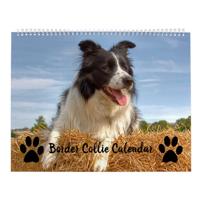 Calendário de Collie de Borda Mistura de Sobreposi (Capa)