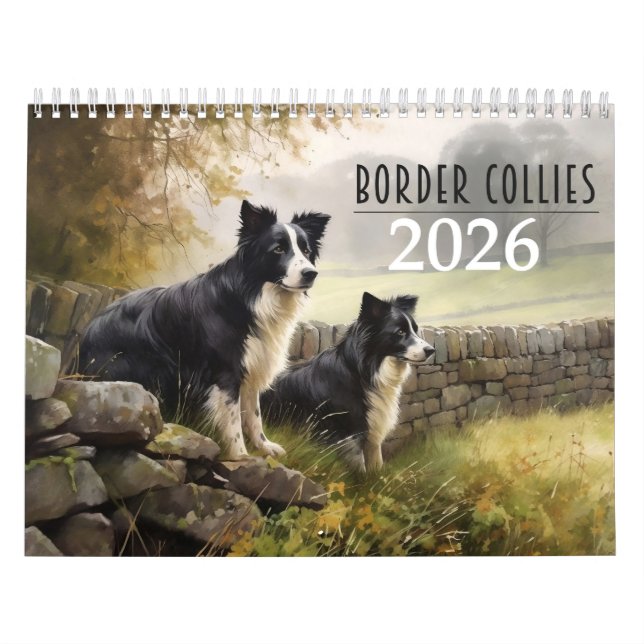 Calendário de Collies de Fronteira 2026 (Capa)