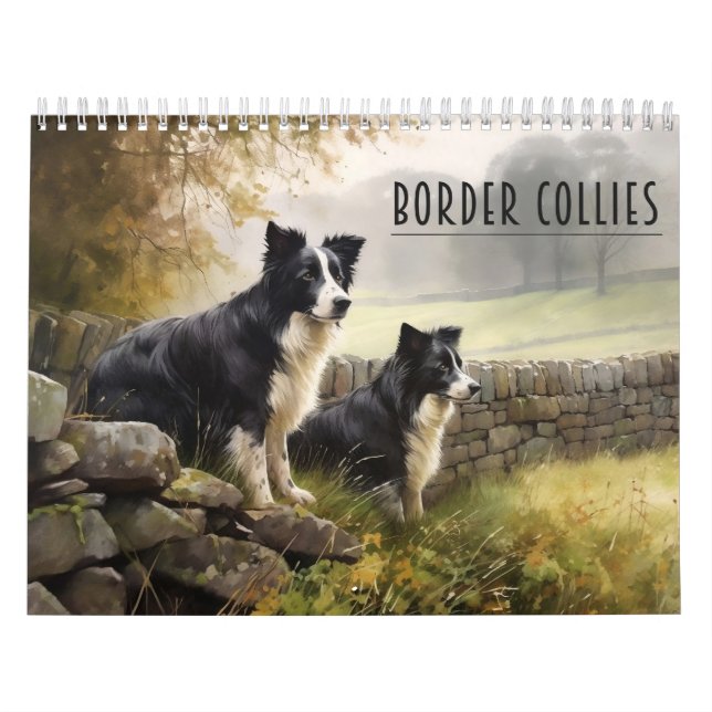 Calendário de Collies de Fronteira, a qualquer ano (Capa)