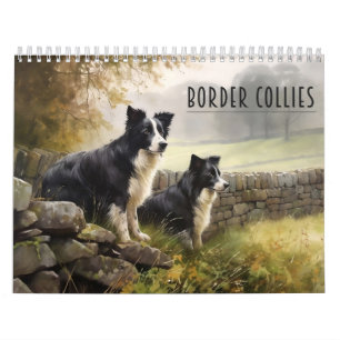 Calendário de Collies de Fronteira, a qualquer ano