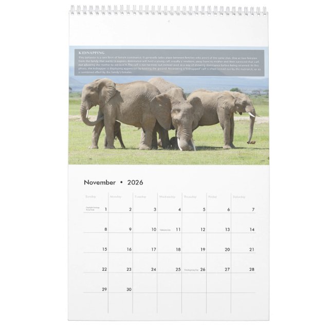 Calendário de Comportamento do Elefante (Nov 2026)