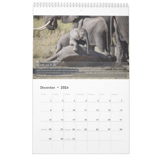 Calendário de Comportamento do Elefante