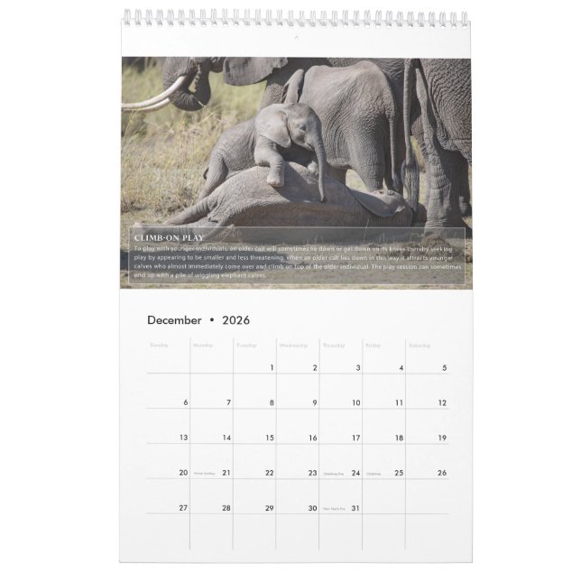 Calendário de Comportamento do Elefante (Dez 2026)