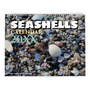 Calendário de Conchas Marinhas na Parede 2026 Pres